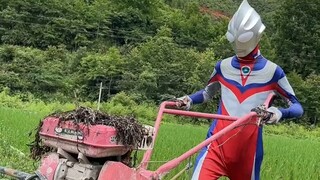 Ultraman can go up to the sky and down to the ground. It's amazing.