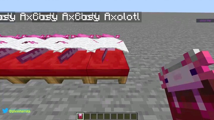 minecraft that are illigal