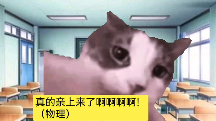 [Cat Meme] หลังจากพิชิตครูโรงเรียนผู้โดดเดี่ยว ฉันก็ค้นพบคุณลักษณะยันเดเระของเขา (จบ)