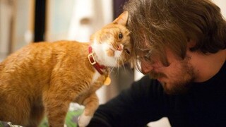 Reasons Why Humans & Cats Are A Match Made In Heaven - Cute Cats Show Love For Owner