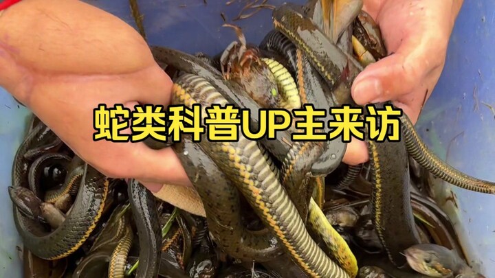 Brother Yu has really made something of himself; I’m honored to team up with a science‑communication