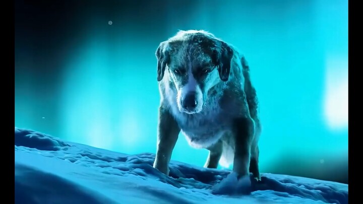 "The Call of the Wild"