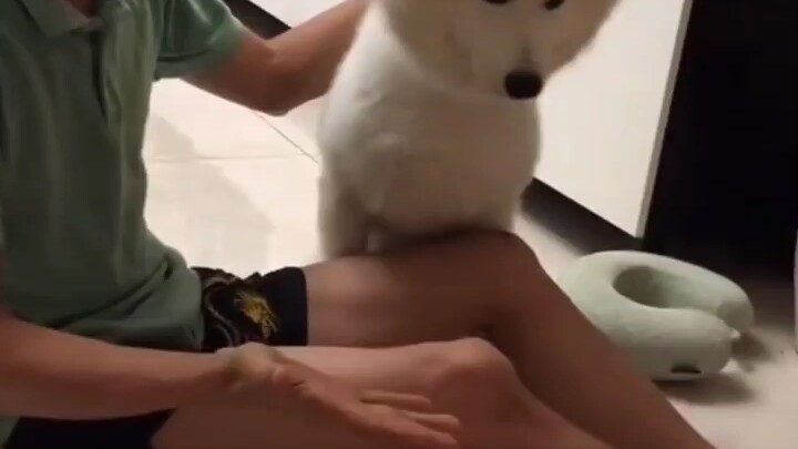 Wow, pulling off insane tricks at the same time!