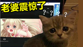 老婆你快说句话啊？？？《最 骚 营 销 号 7》