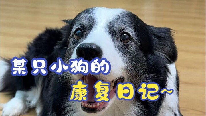 อย่ากลัวไปเลย ยังมีพ่ออยู่นี่ไง～