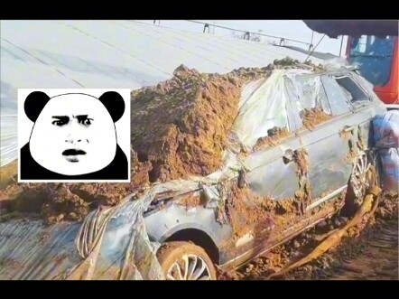 This Is the Ultimate Outcome of Buying a Repo Car #Cars #DailyCarKnowledge