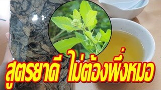 เก็บสูตรนี้ไว้! ชาใบขลู่ ขับนิ่ว บํารุงไต ป้องกันเบาหวาน