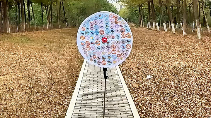 了解苏珊纸飞机，有这个视频就够了