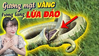 Top Những 'Bậc Thầy Lừa Đảo' Trong Thế Giới Động Vật