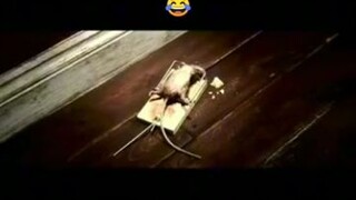 Stronger mouse😂😅