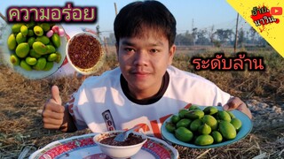 กินส้มบักม่วงป่าใสกับแจ่วปลาแดกความอร่อยระดับ1,000,000ทั้งเผ็ดทั้งแซ่บ ดูคริปนี้น้ำลายไหล