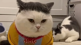 Maybe those with round faces shouldn't grow blunt bangs.