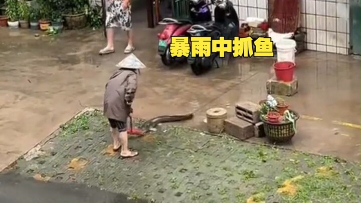 ได้ยินมาว่าปลาที่อยู่กลางพายุฝนไม่ควรกิน?