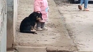 Anjing: Adik ini bisa akur...