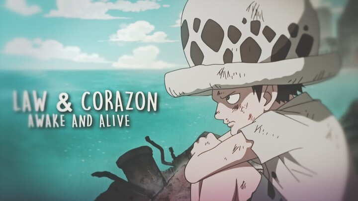 One Piece「AMV」- Awake And Alive