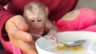 Yummy Yummy!! Tiny adorable Luca first taste with milk mixed banana & sweets