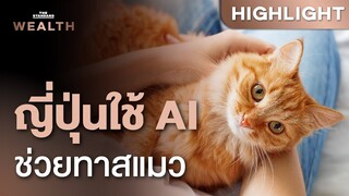 สตาร์ทอัพโตเกียวแห่ใช้ AI ดูแลสุขภาพแมวสูงวัย | THE STANDARD WEALTH