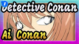 [Detective Conan] Wings / Ai & Conan_1