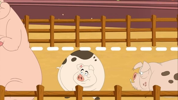 Have you ever seen such an outrageous way of feeding pigs? Every operation is beyond your expectatio