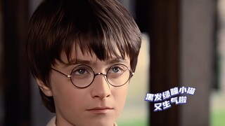 谁又惹黑发碧眼救世主生气了？！小猫顶着包子脸翻白眼太可了