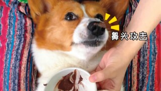 Doggy: Today was another "bittersweet" dream again