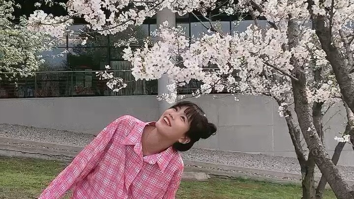 آسف لأنني وعدت سابقًا بأن أحرّر ولُقطات الكواليس للحقيبة وأنشرها.