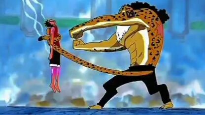 CHEETAH VS LUFFY