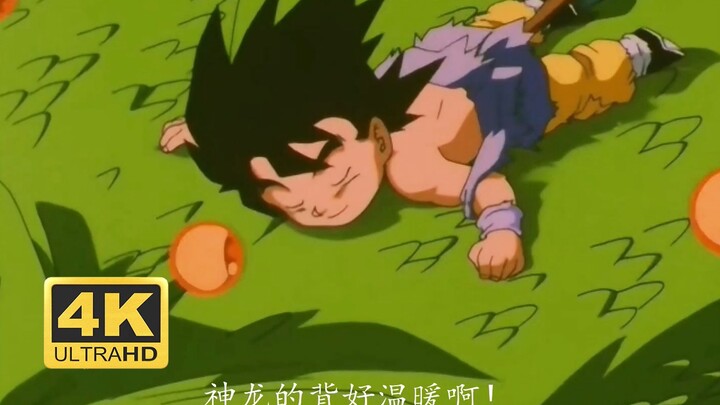 【4K】“神龙的背好温暖啊！”