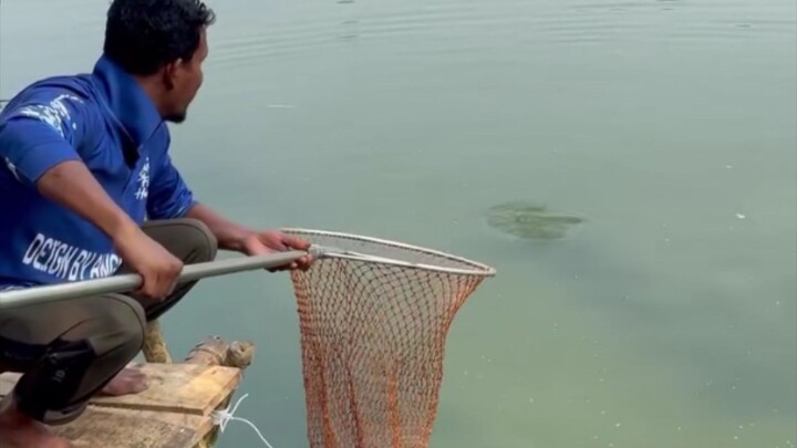 তানোরে বিশাল মাছ ধরা প্রতিযোগিতা