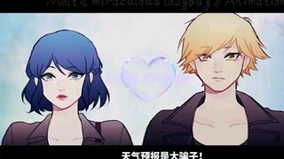 Melt 瓢虫动画