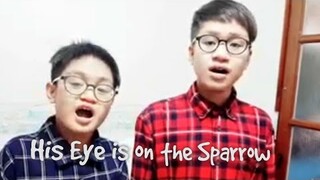 His Eye is on the Sparrow