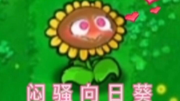 逆天版植物：烧杯葵