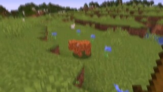 Minecraft nhưng bạn sở hữu Trái Tim Triệu Phú