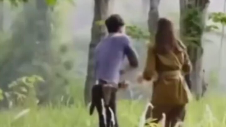 蛇:"不愿再咬.."