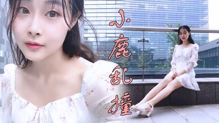 【肉球】小鹿乱撞 让你怦怦心动