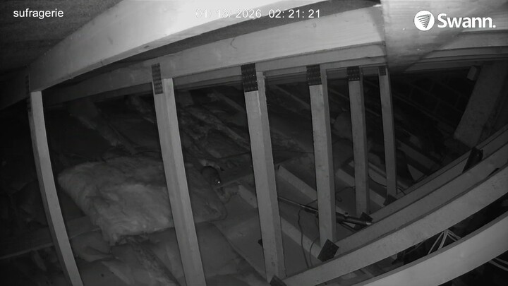 RAT2 - 20260113-021916-022153-000002000000