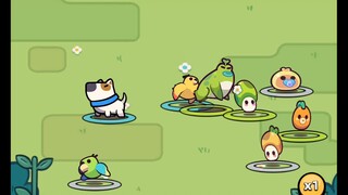 Capybara Pets Revealed!