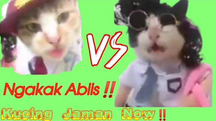KUCING LUCU MENGGEMASKAN‼️