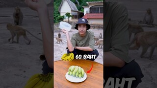 Do monkeys really like bananas? 🙉🍌🧐