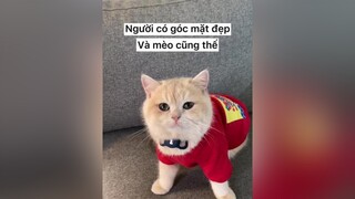 Áo đỏ chứng tỏ chưa có ny 😁 meow mèocute meomeo cat mèo meohay tiktok