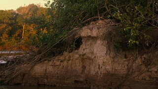 Earth at Night Color Episode 3