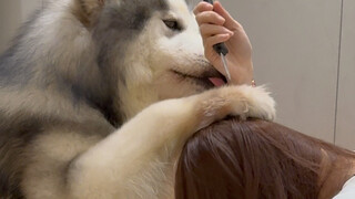 不允许妈妈受到任何伤害！我来替妈妈挡.