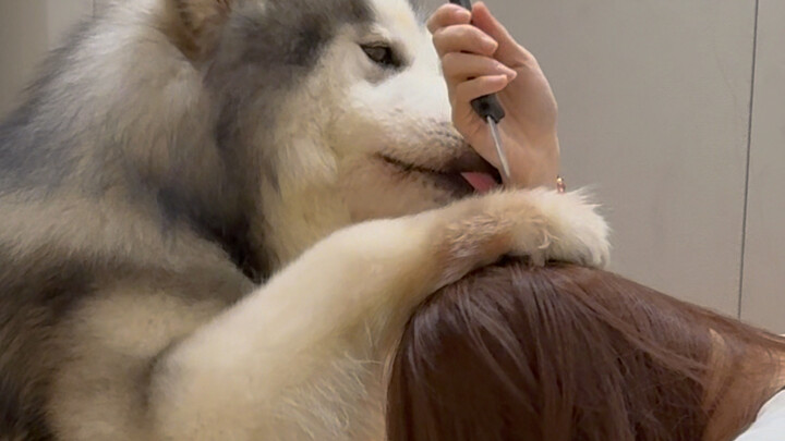 不允许妈妈受到任何伤害！我来替妈妈挡.