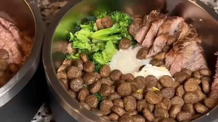 มาดูอาหารสุนัขสุดพิถีพิถันที่ชาวเน็ตเตรียมไว้ให้เจ้าตูบกัน ทั้งเนื้อทั้งผักครบครัน ทั้งอร่อยทั้งดีต่