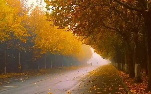 I want to take a stroll here in my coat and exhale a puff of cold air.