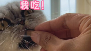 小飞棍来咯~