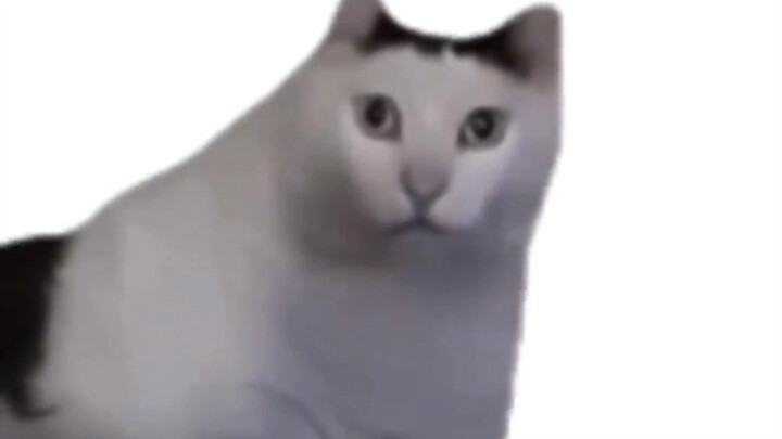 مقابلة ترخيص التدريس هي عبارة عن عرض غامر هائل.