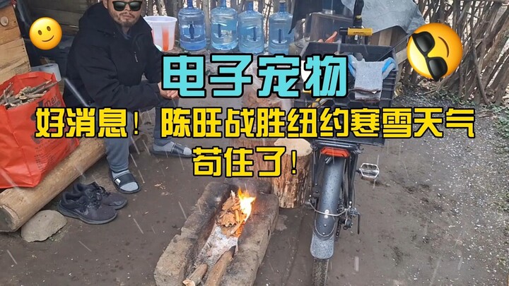 Hewan Peliharaan Elektronik Chen Wang (9): Kabar Baik! Chen Wang Berhasil Bertahan dari Cuaca Dingin