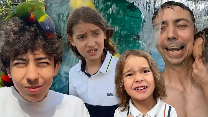 الكور وقعت عليهم والطير وقع عليه!