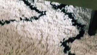 Some things about me you just have to know dog freebritney cutedog